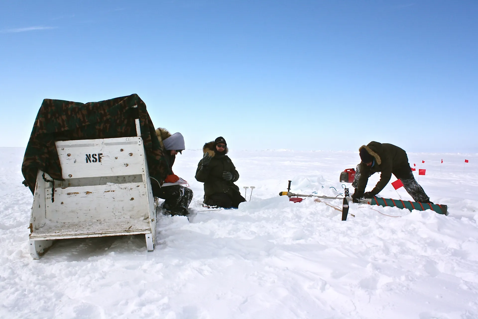 the arctics secret garden