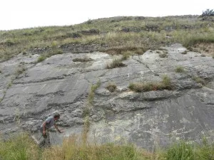 A limestone fault. Credit: Meg Reitz.