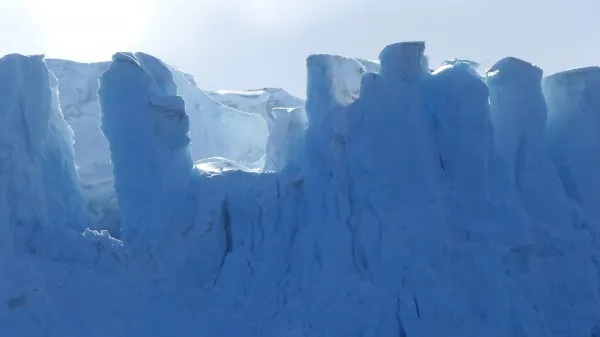 Towering ice walls surround Hardy Cove (Photo M. Turrin)