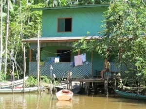 amazon-rosario-300x225