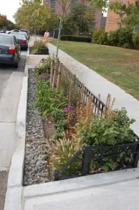bioswale2-199x300