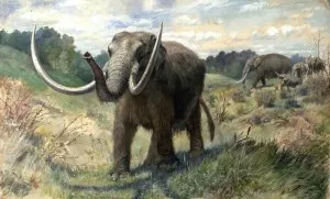 http://paleo.amnh.org/artwork/knight/index.html