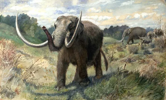 crossing 400ppm welcome to the pliocene