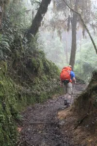 The trail leading up to Mount Chirripó around 8,000 feet is densely vegetated and humid.  