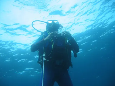 sea change