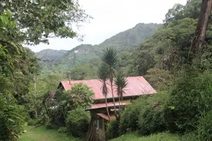 he Cloudbridge Reserve: Volunteers  at the Cloudbridge Reserve stay in a series of houses built in the Costa Rican rainforest.   They work towards returning mountainsides near Mount Chirripó to natural conditions. 