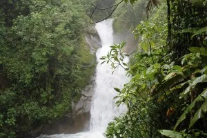 The raging Chirripó River cuts through granodiorite, about 1 mile away from the Cloudbridge Reserve.