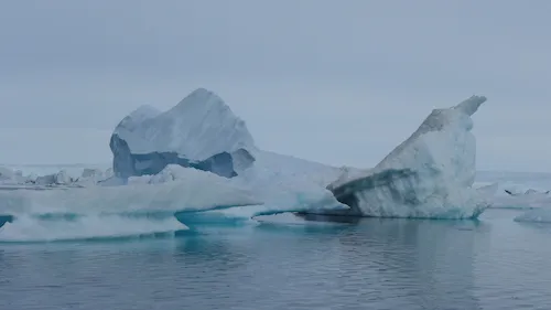 a bumper car ride in the ice melange