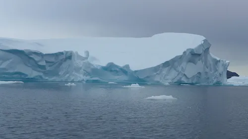The local community talked of the distinction between large and small icebergs. Minitoq,the large iceberg, were described as being  more tabular in shape, very high and straight sided, extremely large and more dangerous when they split or broke apart because of the large waves they could generate or the sudden ice fall that could bury a boat.  The iceberg pictured here was not a minitoq but was large enough to be skirted with a respectful distance in the boat. 