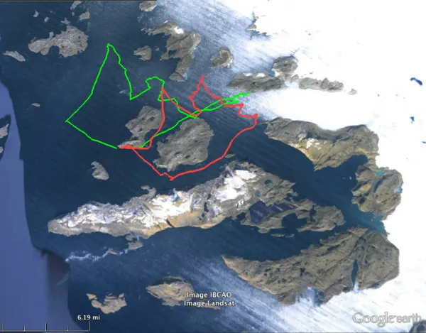 Map of the series of casts completed in front of Alison Glacier and Hayes Glacier to the north. Red was day 1 of sampling, Green was day 2.  (Credit D. Porter)