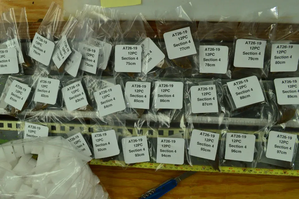 sed_samples