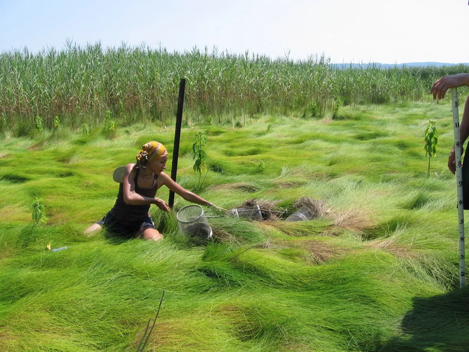 summer program opens door to the life of a scientist