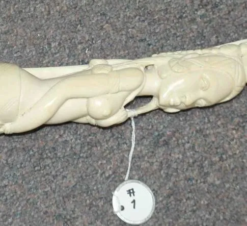 science nabs illegal ivory sellers