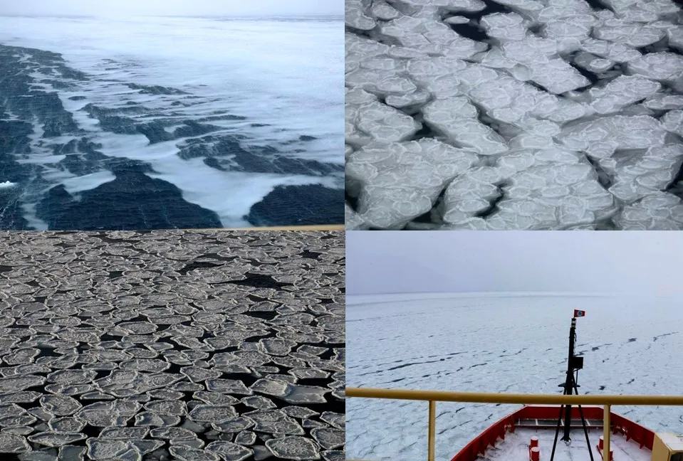 Sea Ice Images.jpg
