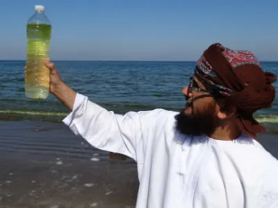an algorithm to investigate unwelcome plankton