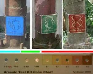Labels help villagers identify wells with safe water. The World Health Organization standard is no more than 10 parts per billion of arsenic (blue); the Bangladesh standard is currently 50 ppb (green).