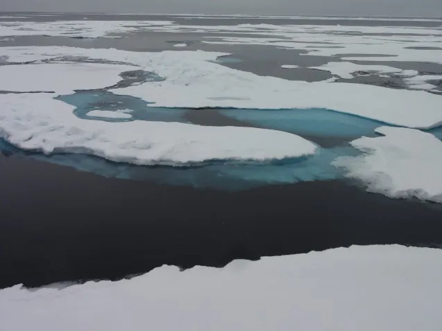 scouring the arctic for traces of fukushima and ejections from cosmic impacts