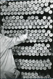 core repository