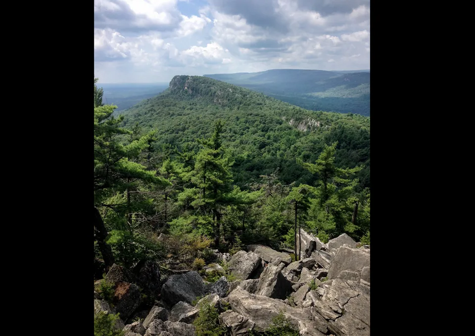 New Paltz, NY, old-growth tree site