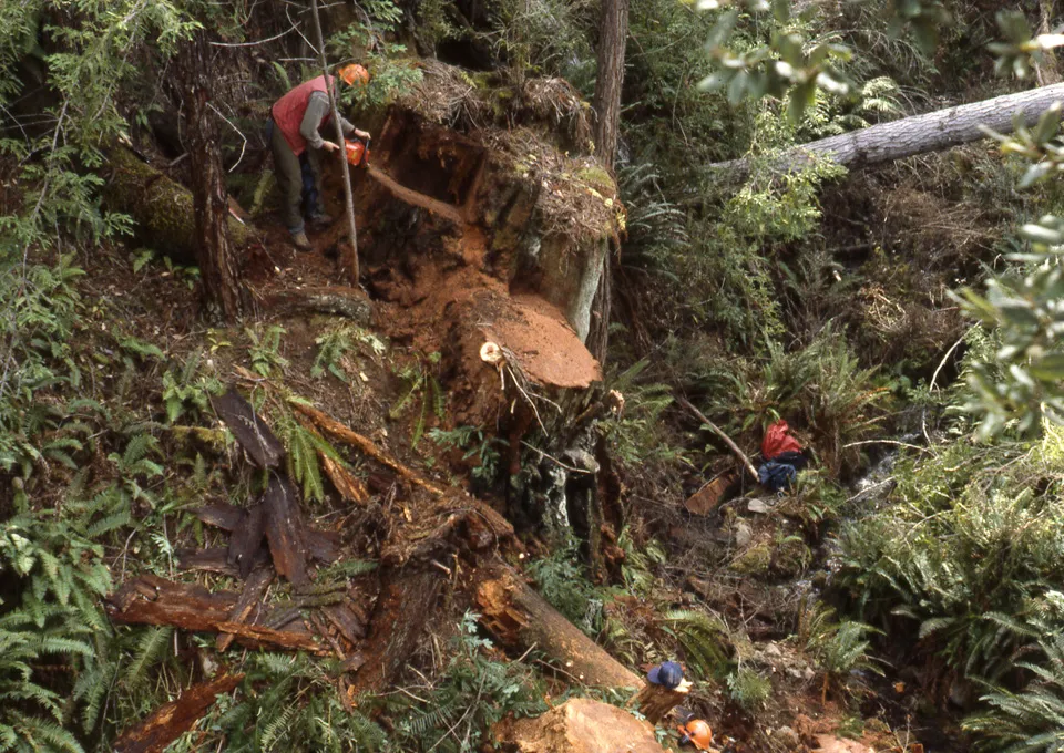 Seeking Earthquake Evidence in the Pacific Northwest