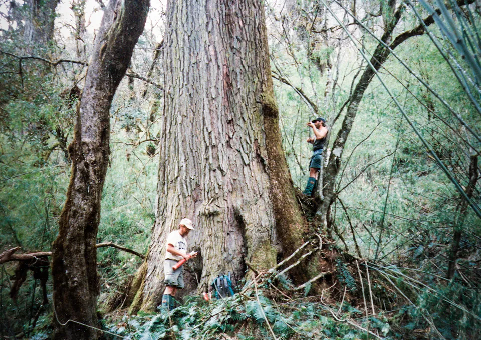 Hiking into Nepal for Tree Samples