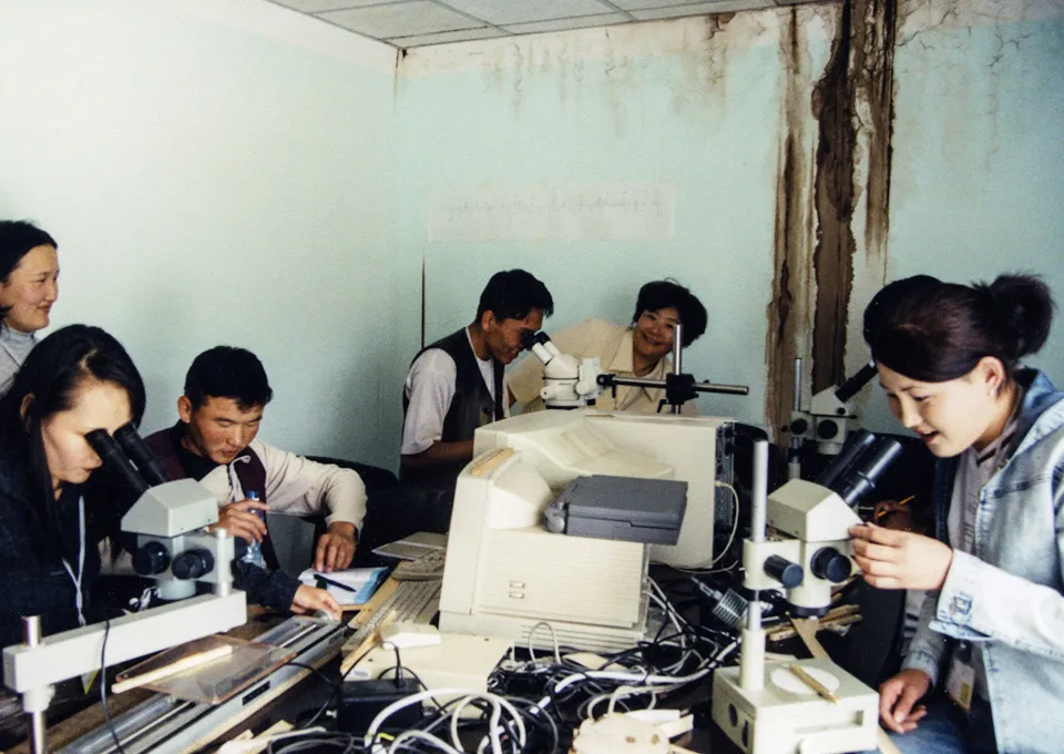 Tree Ring Training in Mongolia