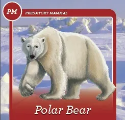 a game of strategy and survival in the high arctic