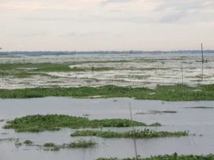 The large abandoned channel we hoped to work in is completely flooded.