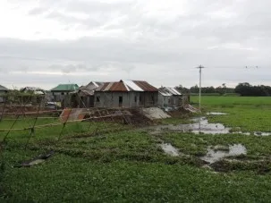House in the middle of the wet fields. During the summer monsoon, it will be an island connected by the bamboo bridge.  In a month it will be connected by dry land
