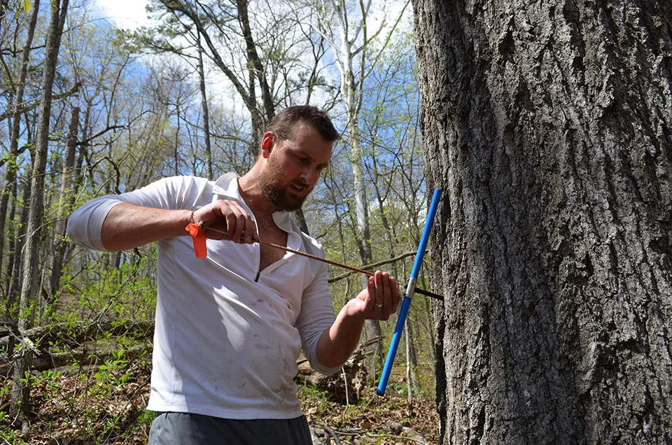 how will shifting climate change u s forests