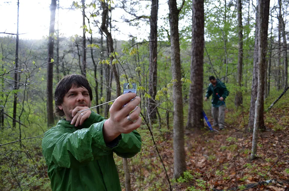 photo essay high in the hills climate may challenge forests