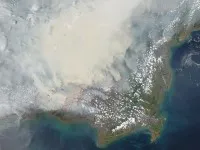 Fires Borneo Nasa 200x150.jpg