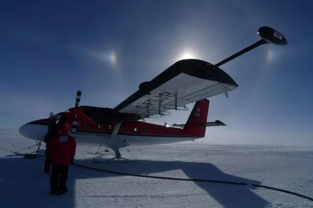 Magnets mounted on the tips of the wings during the 2008 AGAP project. (photo R. Bell) 