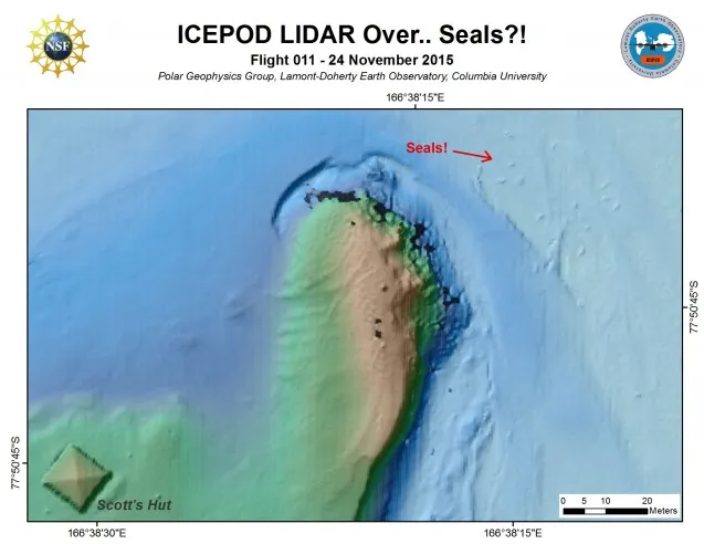 Yes those are seals! Weddell seals lying on the  ice and imaged by the LiDAR. (Processed by S. Starke) 