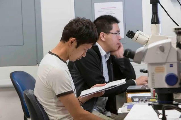 The shipboard labs are ready for scientists to go to work. Kaoru Kubota of the University of Tokyo and Xibin Han of China work on reports in the core lab. (Tim Fulton)