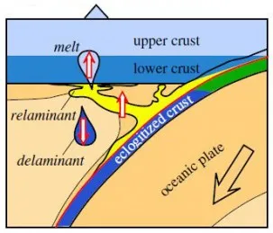 Relamination of subducted sediment. 