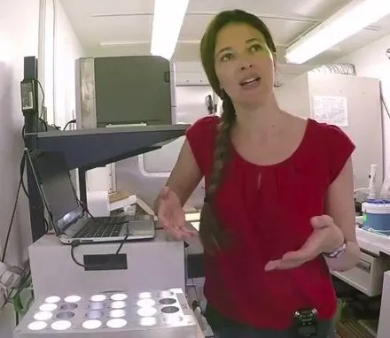 in a vast ocean studying impact of the tiniest creatures