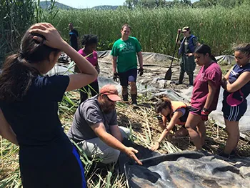 earth institute summer 2016 internships