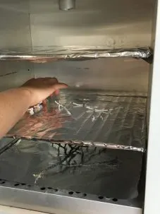 Corals collected from the seafloor go into an oven for drying. Photo: Bridgit Boulahanis