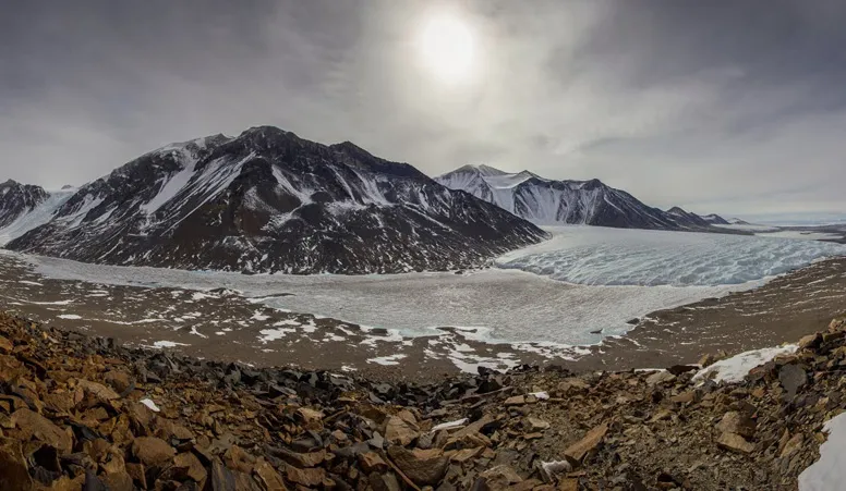 what happens to ecosystems when antarcticas ice melts