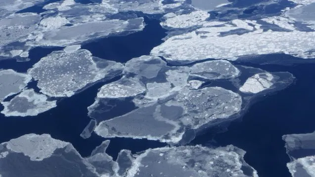 Grease Ice