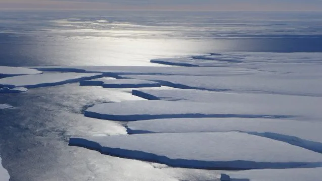 Tabular icebergs after separating fro the ice shelf line up along the front of Getz before moving out into the ocean. (Photo M. Turrin)
