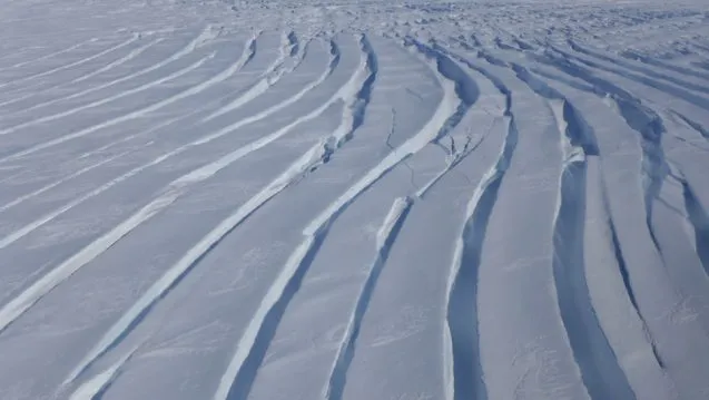 Crevassing in the ice shows areas where there is strain from ice flowing at different rates. Ice will often crevasse as it accelerates. (Photo M. Turrin)