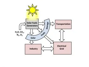 fueluses