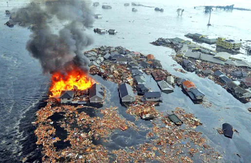 Japan 2011 earthquake