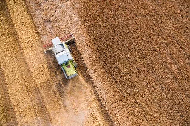 trumps unifying opportunity food security