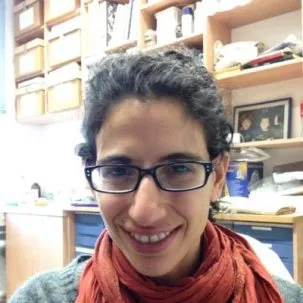 Yael Kiro