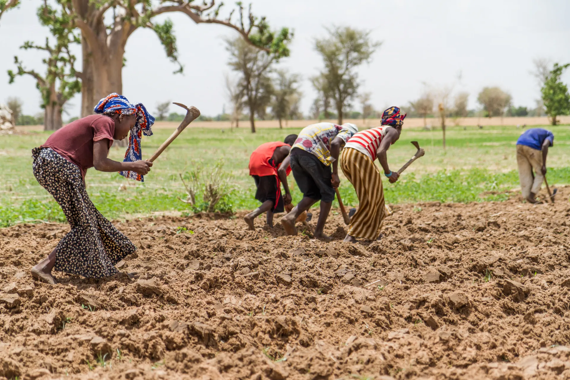 reduced u s air pollution will boost rainfall in africas sahel says study