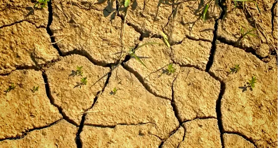 how will climate change impact water resources