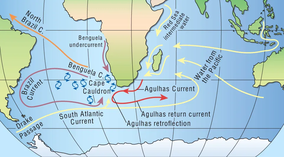 transforming a passion for oceans into discovery